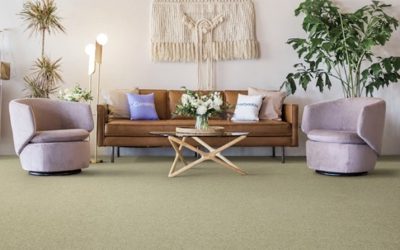 Best living room carpets