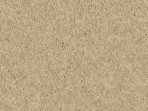 Closeup of a beige carpet in the Alpaca shade