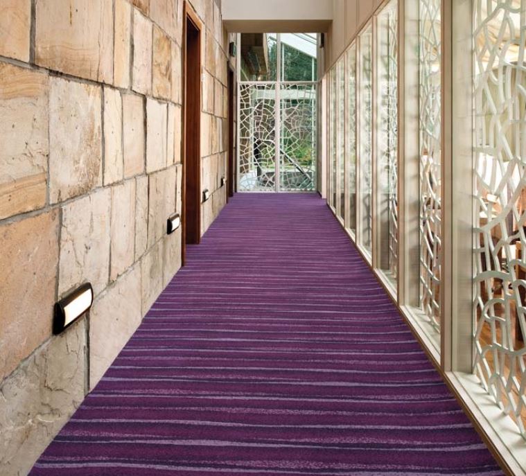 A distinctive purple carpet in a hallway