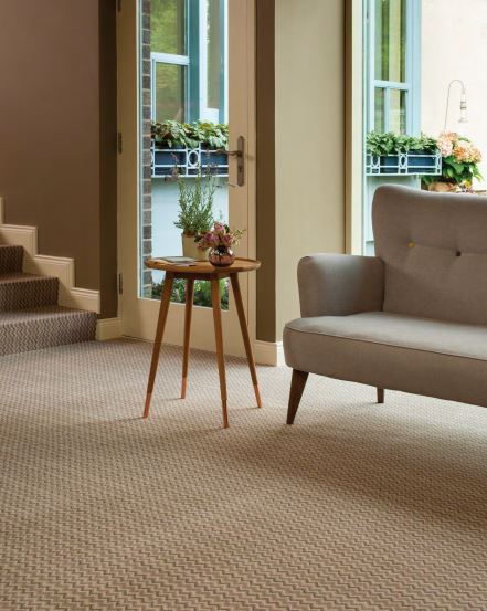 A living room with upright sofa, neutral beige Tribe carpet from Ulster Carpets.
