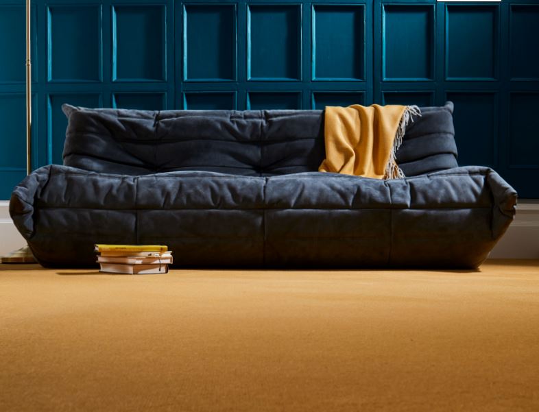 A living room with dark blue painted wood walls, a dark sofa and gold coloured carpet from the Westend Velvet range by Westex Carpets.
