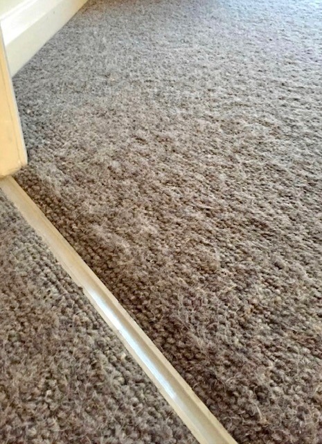 Carpet Dyeing. What is it and is it a practical solution? - Yep! We Fix  Carpet