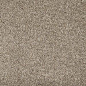 Swatch from the Amorosa range in the Mystery colour by Penthouse Carpets.