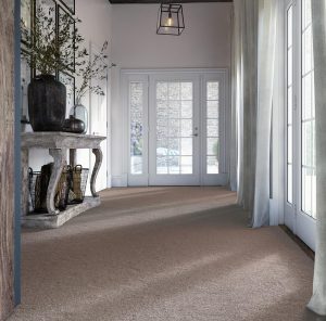 Hallway with pale grey curtains and door overlooking a courtyard, with mid beige carpet.
