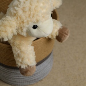 Cuddly lamb soft toy with a pale beige carpet underneath.